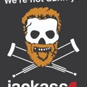 Meet your Posher, Teddy